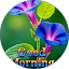 Yong ping Ying