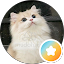 Ezwan